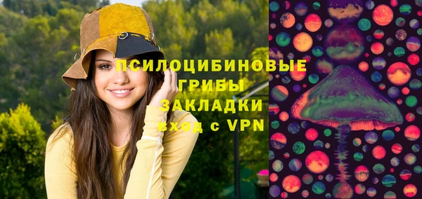 бошки Сатка
