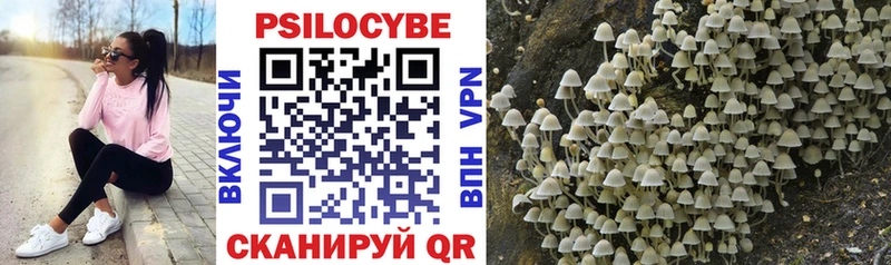купить наркотики цена  Ефремов  Галлюциногенные грибы GOLDEN TEACHER 